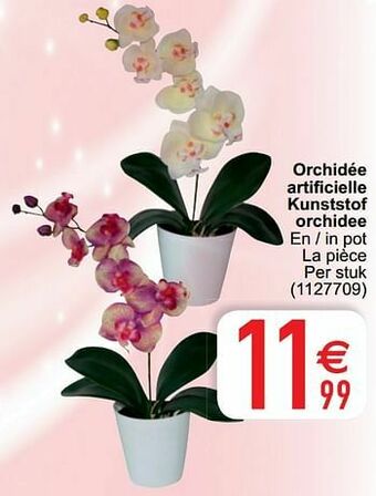 Cora Orchidée artificielle kunststof orchidee aanbieding
