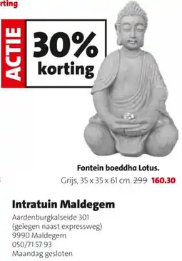 Intratuin Fontein boeddha Lotus aanbieding