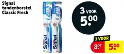 Kruidvat Signal tandenborstel Classic Fresh aanbieding