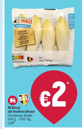 Delhaize Witloof uit hydrocultuur 650 g aanbieding