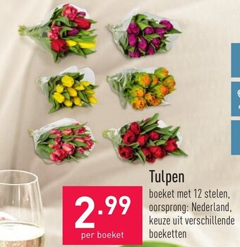 ALDI Tulpen aanbieding
