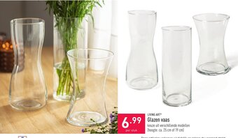 ALDI Glazen vaas aanbieding