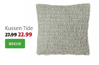 Intratuin Kussen tide aanbieding