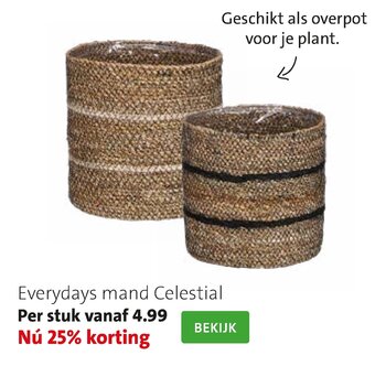 Intratuin Everydays mand celestial aanbieding