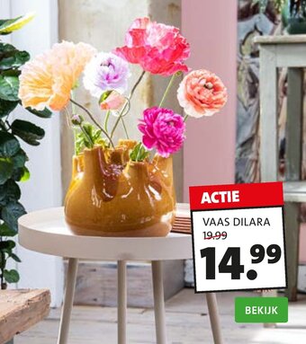 Intratuin Vaas dilara aanbieding