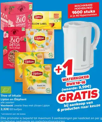 Thee of infusie lipton en elephant
