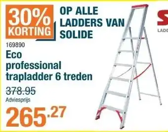 Eco professional trapladder