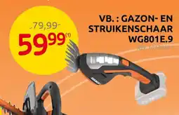 Brico Worx Gazon en Struikenschaar aanbieding