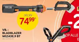 Brico Worx Bladblazer aanbieding