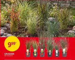 Brico Grassen aanbieding