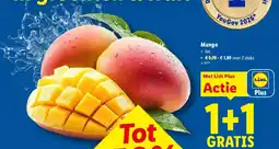 Lidl Mango aanbieding