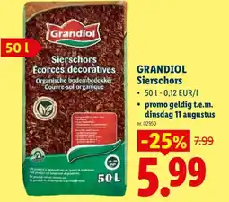 Lidl Grandiol sierschors aanbieding