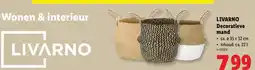 Lidl Decoratieve mand aanbieding