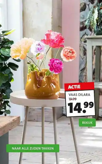 Intratuin Vaas Dilara aanbieding