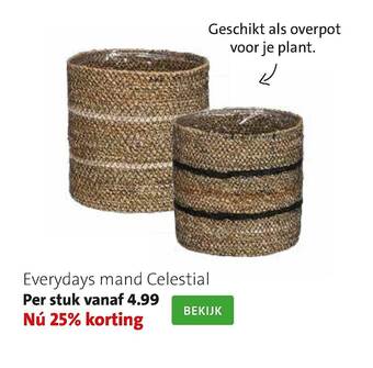 Intratuin Everydays Mand Celestial aanbieding