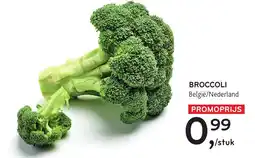 Alvo Broccoli aanbieding
