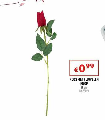 Trafic Roos Met Fluwelen Knop aanbieding