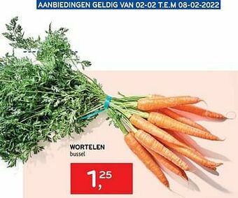 Alvo Wortelen aanbieding