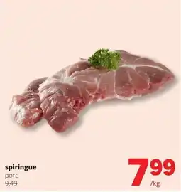 Spar spiringue aanbieding