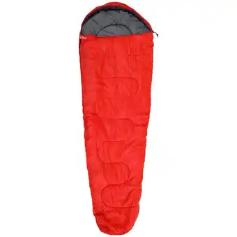 Action Froyak mummieslaapzak aanbieding