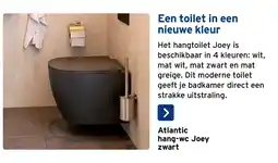 GAMMA Atlantic hang-wc Joey aanbieding
