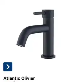 GAMMA Atlantic Olivier aanbieding