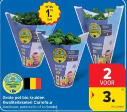 Carrefour Grote pot bio kruiden aanbieding