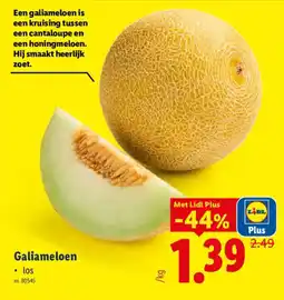 Lidl Galiameloen aanbieding