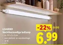 Lidl Livarno vochtbestendige ledlamp aanbieding
