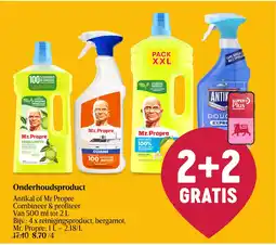 Delhaize Onderhoudsproduct aanbieding