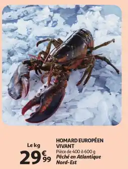 Auchan Homard européen vivant aanbieding