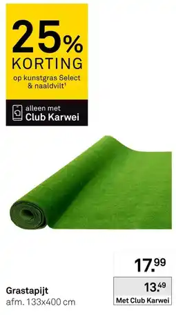 Karwei Grastapijt aanbieding