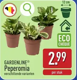 ALDI Gardenline Peperomia aanbieding
