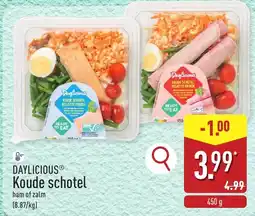 ALDI Daylicious Koude Schotel aanbieding