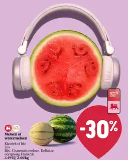 Shop & Go Delhaize Meloen of watermeloen aanbieding