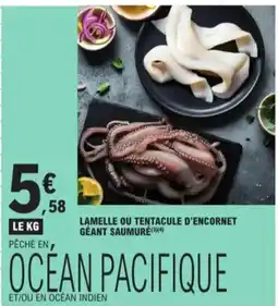 E.Leclerc lamelle ou tentacule d'encornet géant saumure aanbieding