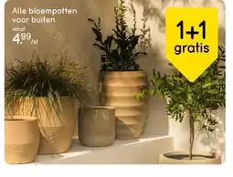 Leen Bakker Alle bloempotten voor buiten aanbieding