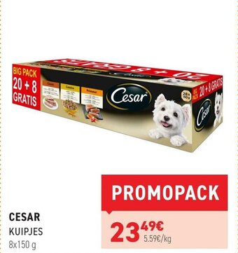 Tom&Co Cesar Kuipjes aanbieding