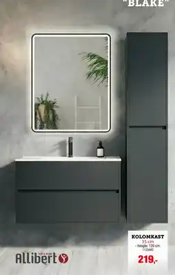Hubo Kolomkast aanbieding