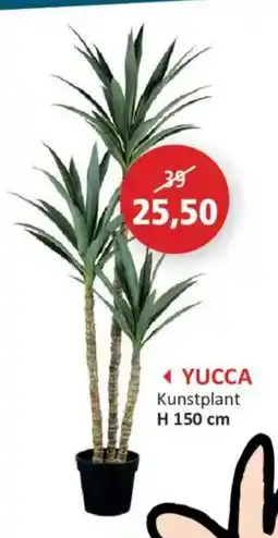 Weba Yucca aanbieding