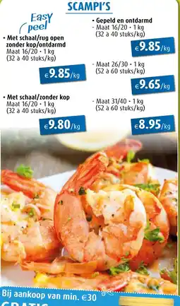 Aronde Scampi's aanbieding