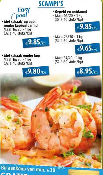 Aronde Scampi's aanbieding