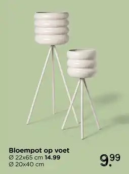 Xenos Bloempot op voet aanbieding