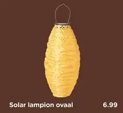 Xenos Solar lampion ovaal aanbieding