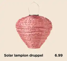 Xenos Solar lampion druppel aanbieding