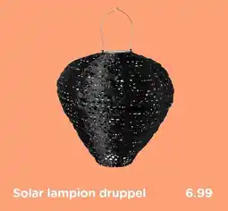 Xenos Solar lampion druppel aanbieding