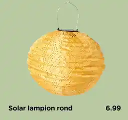 Xenos Solar lampion rond aanbieding