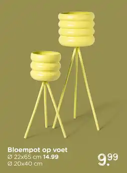 Xenos Bloempot op voet aanbieding