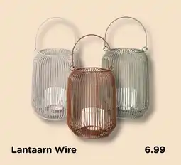Xenos Lantaarn Wire aanbieding