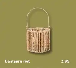 Xenos Lantaarn riet aanbieding